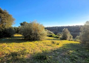 Foto 4 - Agricultural land Via Diana
 
snc, Sassari - photo 4