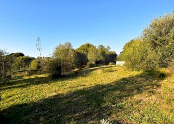 Foto 6 - Agricultural land Via Diana
 
snc, Sassari - photo 6