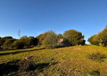 Foto 7 - Agricultural land Via Diana
 
snc, Sassari - photo 7