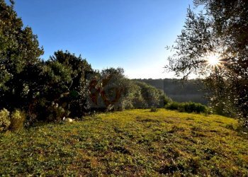 Foto 8 - Agricultural land Via Diana
 
snc, Sassari - photo 8