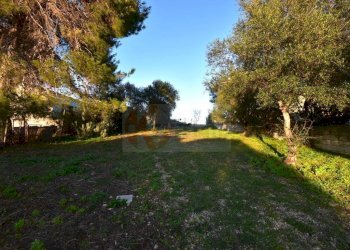 Foto 9 - Agricultural land Via Diana
 
snc, Sassari - photo 9