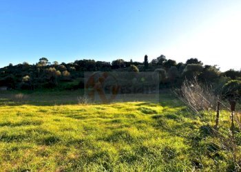 Foto 2 - Agricultural land S.V. Funtana Veglina
 
5, Sassari - photo 2