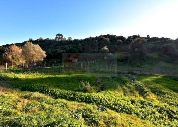 Foto 4 - Agricultural land S.V. Funtana Veglina
 
5, Sassari - photo 4