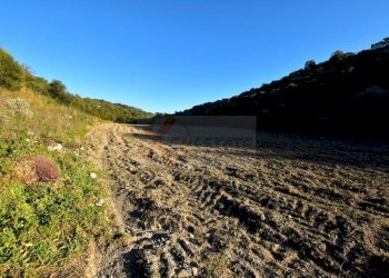 Foto 7 - Agricultural land S.V. Funtana Veglina
 
5, Sassari - photo 7