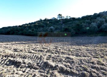 Foto 8 - Agricultural land S.V. Funtana Veglina
 
5, Sassari - photo 8