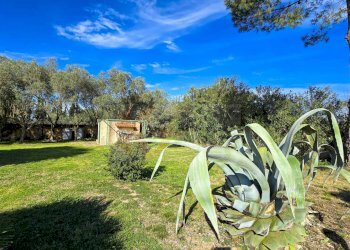 Foto 67 - Villa REGIONE MACCIA D` AGLIASTRU
 
166, Sassari - foto 67