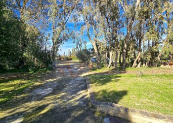 Foto 70 - Villa REGIONE MACCIA D` AGLIASTRU
 
166, Sassari - foto 70