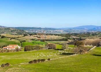 Foto 40 - Villa LOC. SANTU PEDRU, Chiaramonti - foto 40