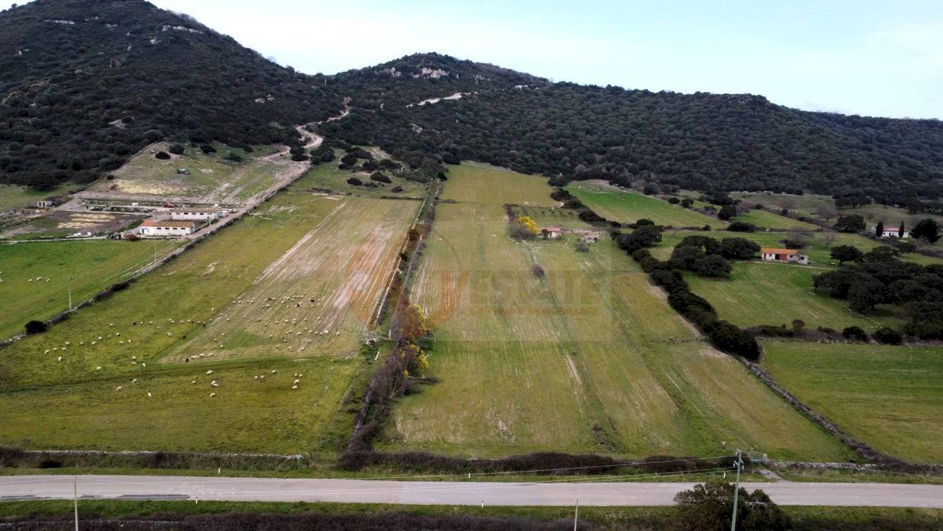 Foto 1 - Agricultural land Località Lu Saltu SP 96, Siligo - photo 1