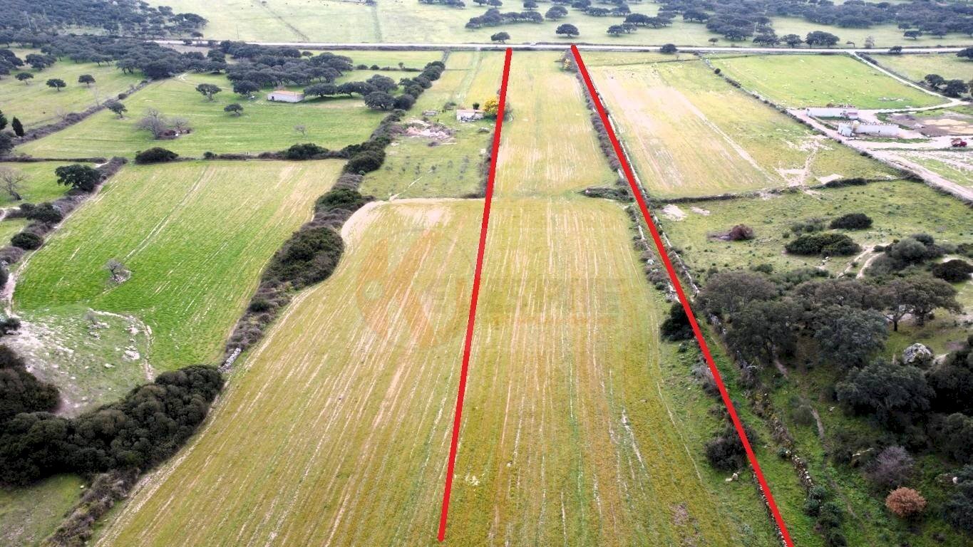 Foto 3 - Agricultural land Località Lu Saltu SP 96, Siligo - photo 3