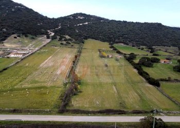 Foto 1 - Terreno agricolo Località Lu Saltu SP 96, Siligo - foto 1