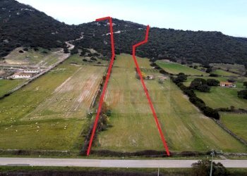 Foto 2 - Terreno agricolo Località Lu Saltu SP 96, Siligo - foto 2