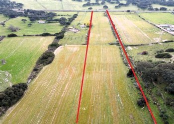 Foto 3 - Terreno agricolo Località Lu Saltu SP 96, Siligo - foto 3