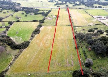 Foto 4 - Terreno agricolo Località Lu Saltu SP 96, Siligo - foto 4