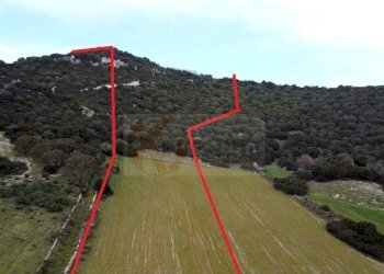 Foto 5 - Terreno agricolo Località Lu Saltu SP 96, Siligo - foto 5