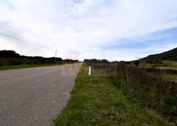 Foto 6 - Terreno agricolo Località Lu Saltu SP 96, Siligo - foto 6