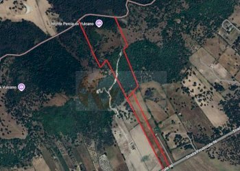 Foto 7 - Terreno agricolo Località Lu Saltu SP 96, Siligo - foto 7