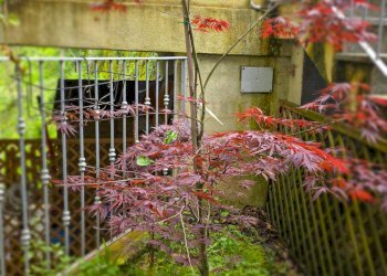 Foto 79 - Independent house ANTONIO MAXIA
 
20, Aritzo - photo 79