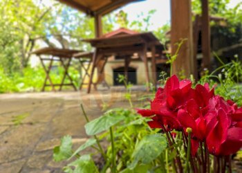 Foto 83 - Independent house ANTONIO MAXIA
 
20, Aritzo - photo 83