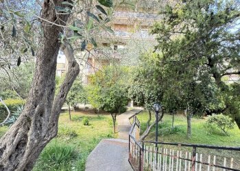 Foto 20 - Attic Piazza Porrino
 
3, Sassari - photo 20