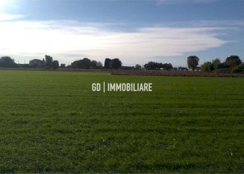 Foto 4 - Terreno edificabile Montebelluna - foto 4