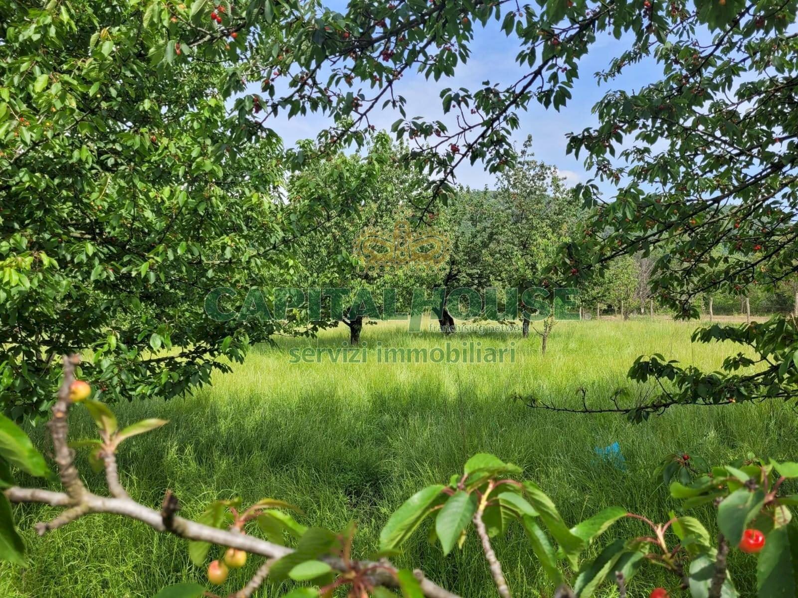 Foto 1 - Terreno agricolo Via San Vito, Mercato San Severino - foto 1