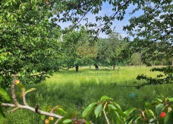 Foto 1 - Terreno agricolo Via San Vito, Mercato San Severino - foto 1