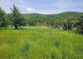 Foto 4 - Terreno agricolo Via San Vito, Mercato San Severino - foto 4