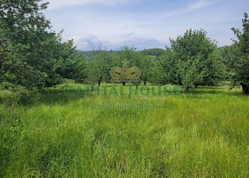 Foto 5 - Terreno agricolo Via San Vito, Mercato San Severino - foto 5