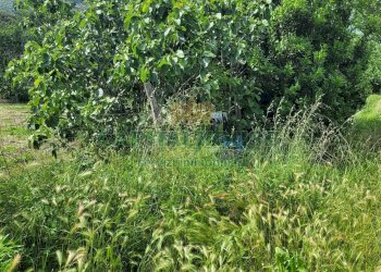 Foto 8 - Terreno agricolo Via San Vito, Mercato San Severino - foto 8