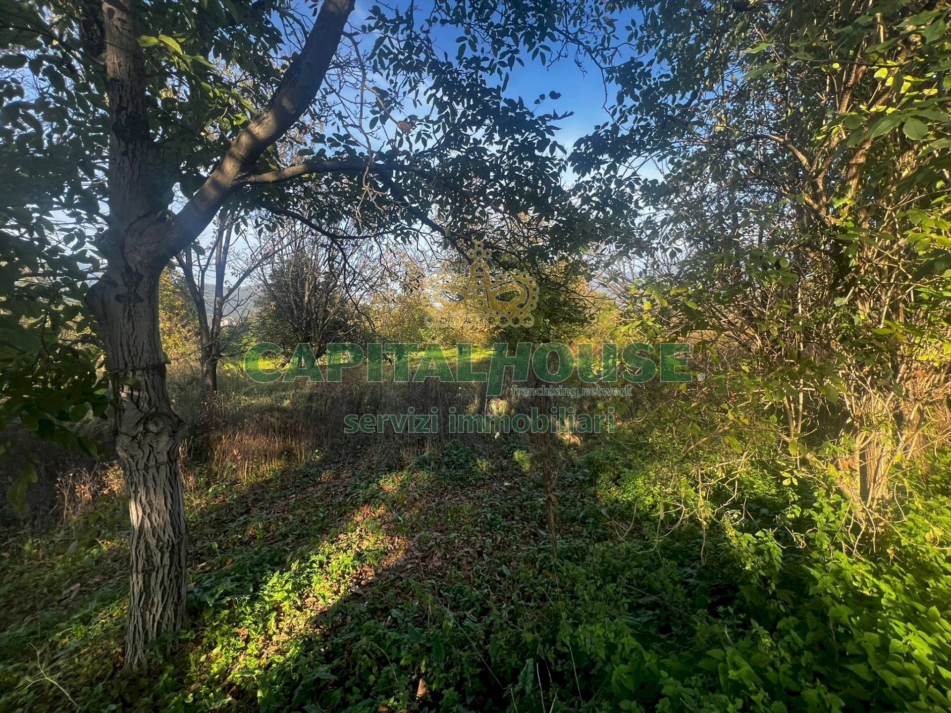 Foto 1 - Terreno agricolo Via Spiano, Mercato San Severino - foto 1