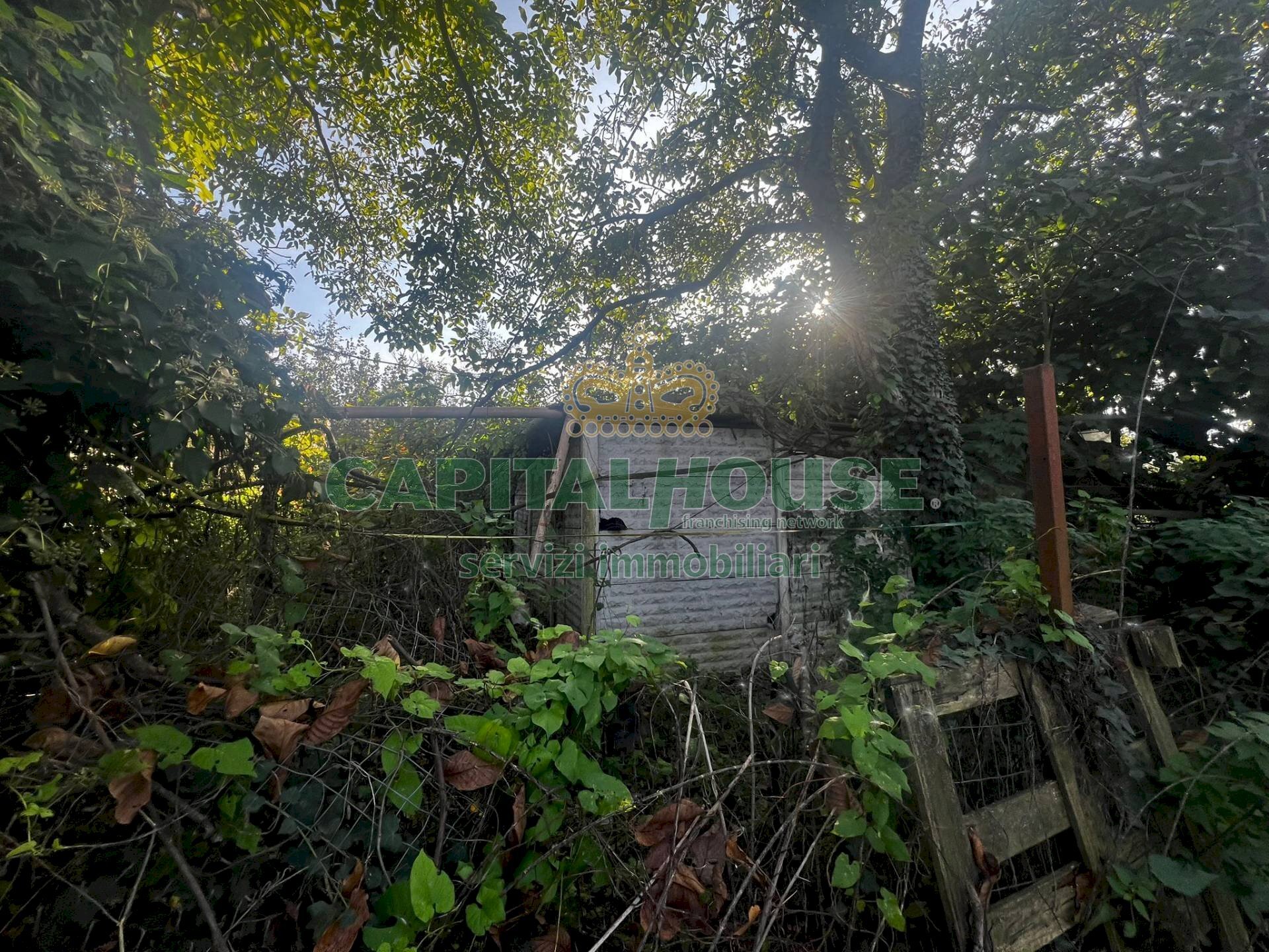 Foto 2 - Terreno agricolo Via Spiano, Mercato San Severino - foto 2