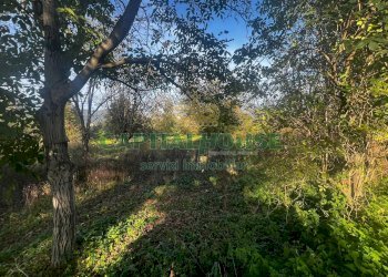 Foto 1 - Terreno agricolo Via Spiano, Mercato San Severino - foto 1