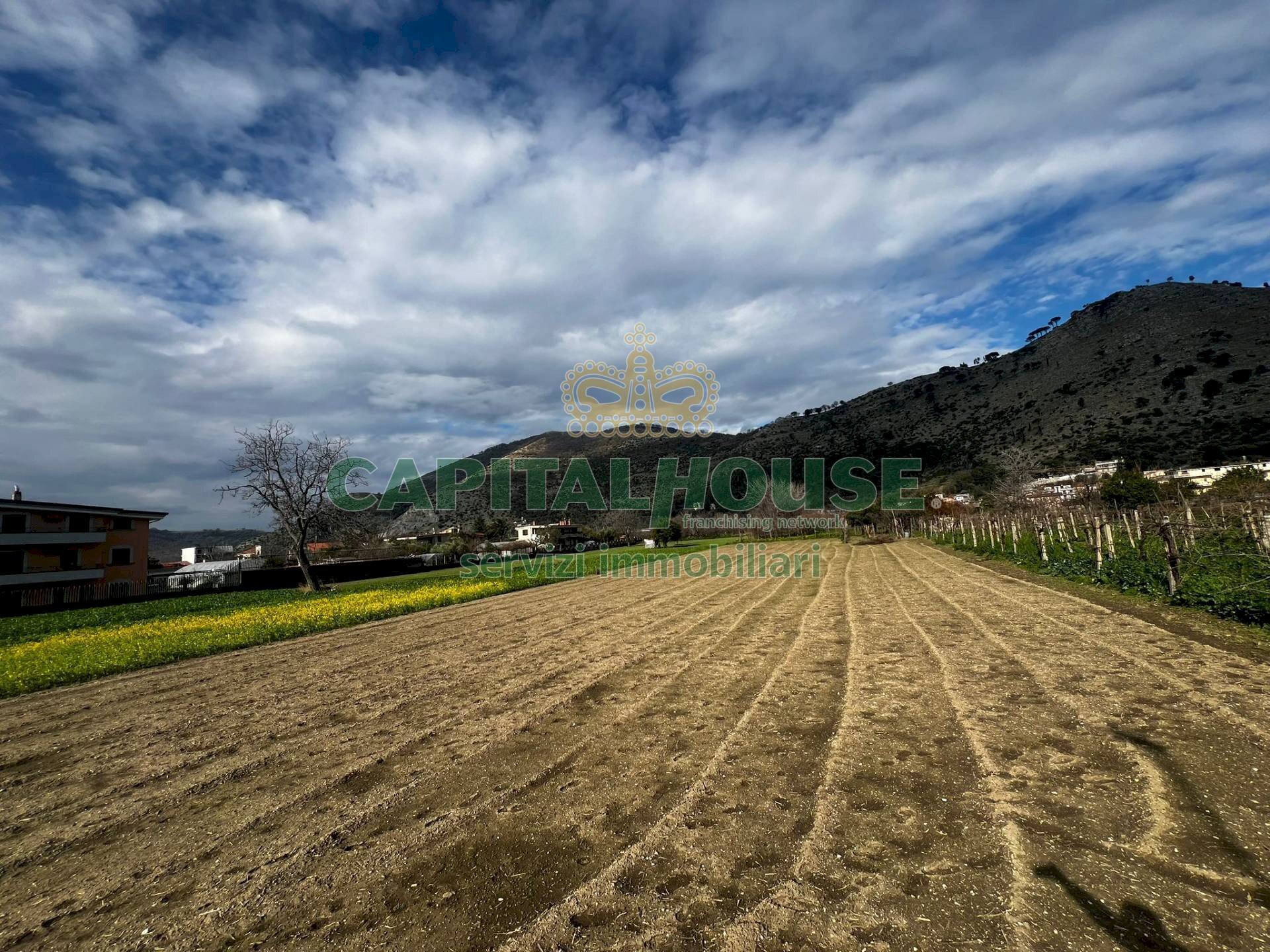 Foto 2 - Terreno agricolo Avv.Raffaele Lanzara, Castel San Giorgio - foto 2