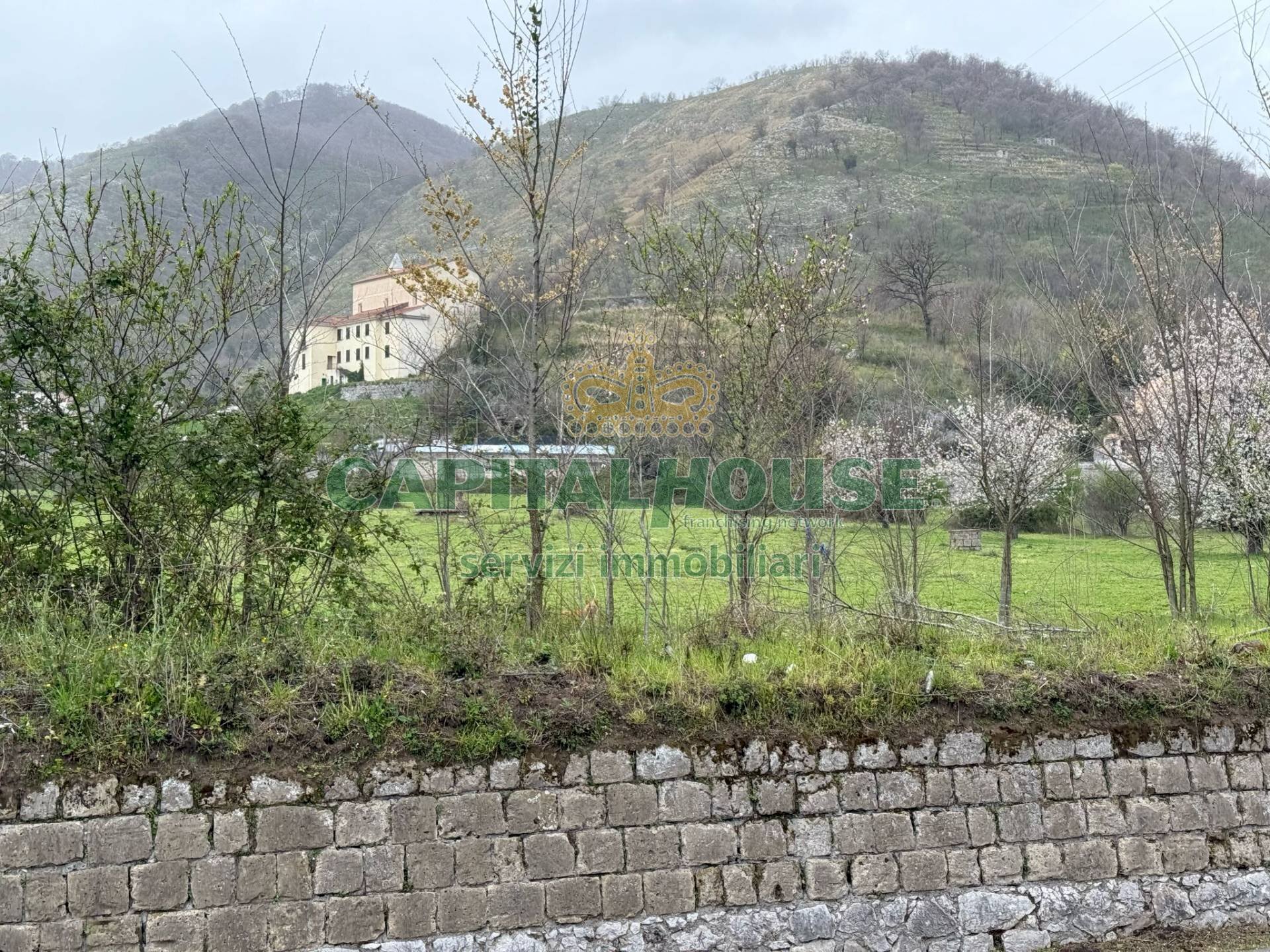 Foto 3 - Terreno agricolo Via zambrano, Castel San Giorgio - foto 3