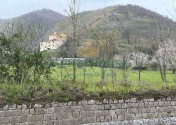 Foto 3 - Terreno agricolo Via zambrano, Castel San Giorgio - foto 3