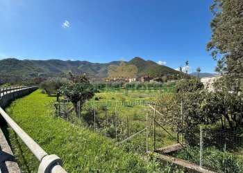 Foto 2 - Terreno agricolo localita costa, Mercato San Severino - foto 2