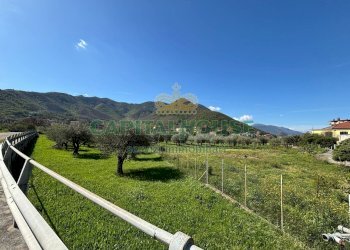 Foto 3 - Terreno agricolo localita costa, Mercato San Severino - foto 3