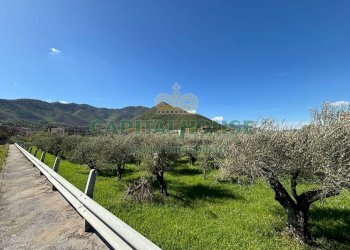 Foto 4 - Terreno agricolo localita costa, Mercato San Severino - foto 4