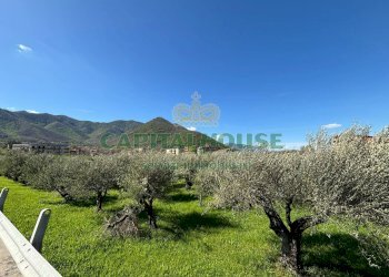 Foto 5 - Terreno agricolo localita costa, Mercato San Severino - foto 5