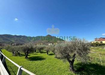 Foto 6 - Terreno agricolo localita costa, Mercato San Severino - foto 6