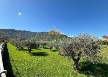 Foto 7 - Terreno agricolo localita costa, Mercato San Severino - foto 7