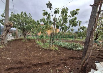 Foto 2 - Terreno edificabile Localita curteri, Mercato San Severino - foto 2