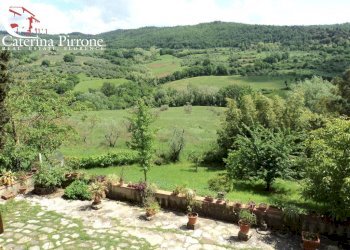 Molin del Piano vendita colonica con terreno - Rustico via di Torre, Pontassieve - foto 8