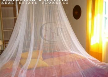 vendita azienda agricola Dicomano - Rustico frazione Dicomano Campagna
 
1, Dicomano - foto 19