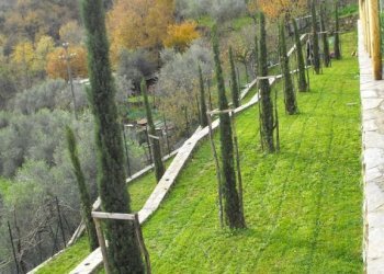 Barberino Mugello vendita chiesa sconsacrata - Villa via di Badia
 
10, Barberino di Mugello - foto 11