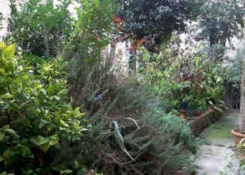 San Gimignano vendesi palazzina storica - Stabile - Palazzo via San Matteo, San Gimignano - foto 3