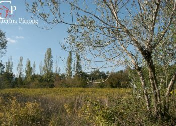 BORGHETTO CON CHIESA ROMANICA - Rustic via del Cesto, Figline e Incisa Valdarno - photo 8