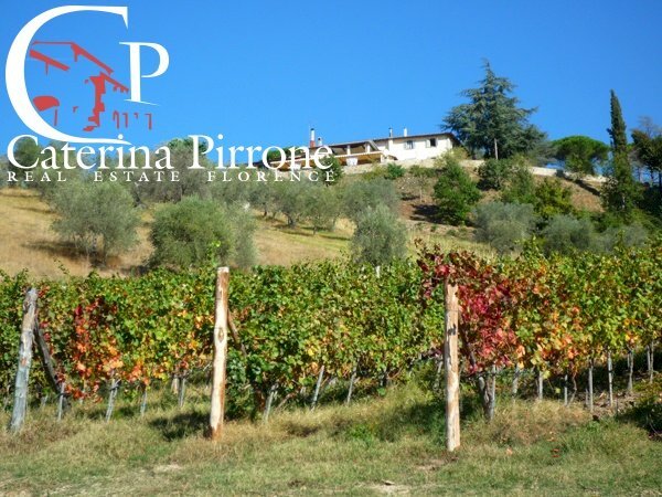 Dicomano vendesi agriturismo - Agriturismo via Dicomano Campagna
 
10, Dicomano - foto 2