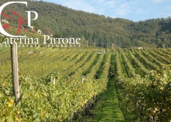 Dicomano vendesi agriturismo - Agriturismo via Dicomano Campagna
 
10, Dicomano - foto 11